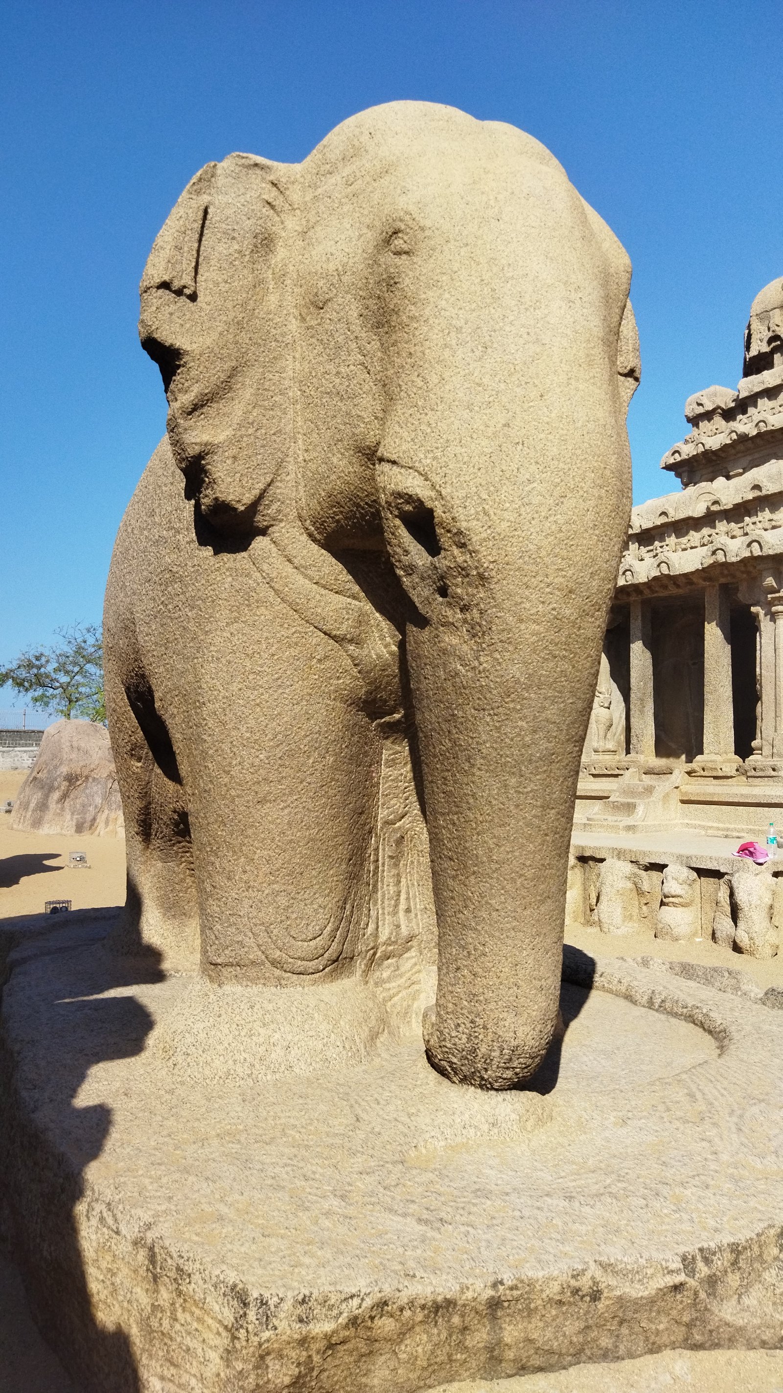 Elephant, Mahabalipuram, TN