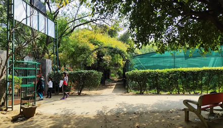 Vision and Ecological Importance