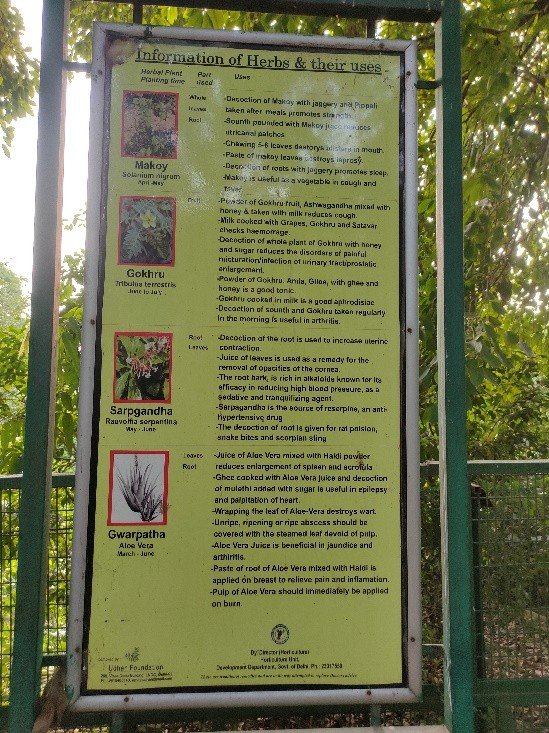 Guidelines and Visitor Information