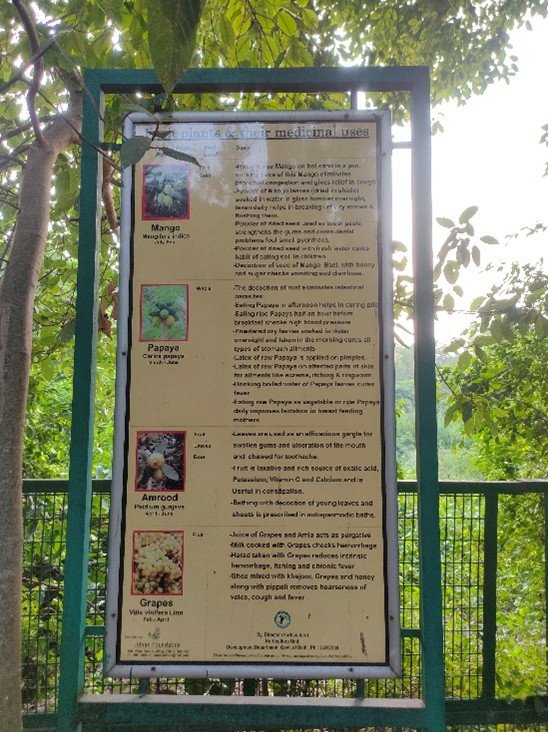 Guidelines and Visitor Information