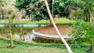 Pond