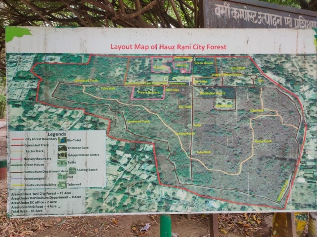 Layout Map of Hauz Rani City Forest