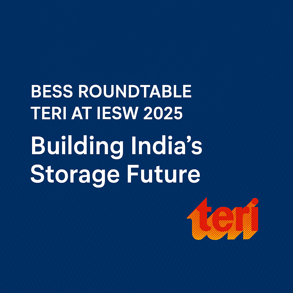 TERI IESW Roundtable 2025