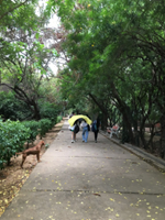Jogging and Walking Trails
