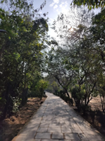 Jogging and Walking Trails