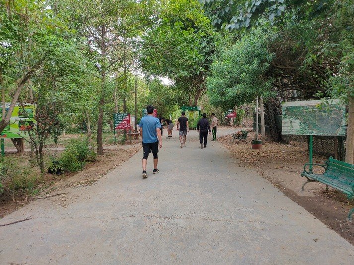 Jogging and Walking Trails
