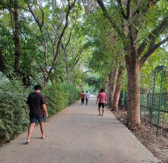 Jogging and Walking Trails