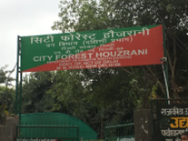 Hauz Rani City Forest Entrance