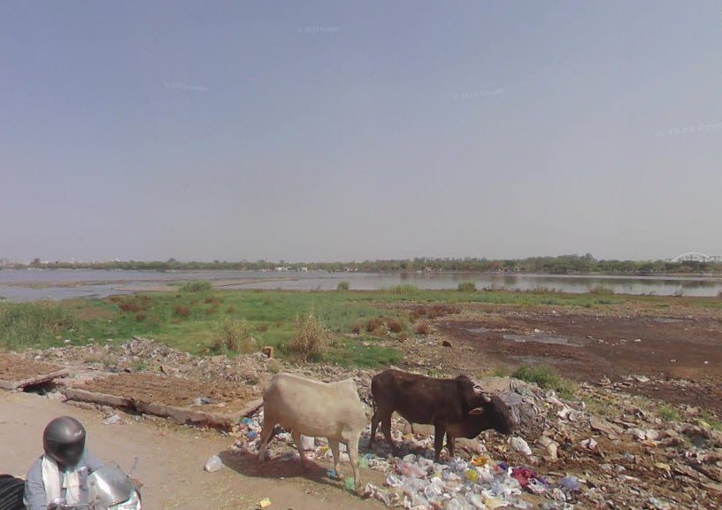 Bhalswa Lake