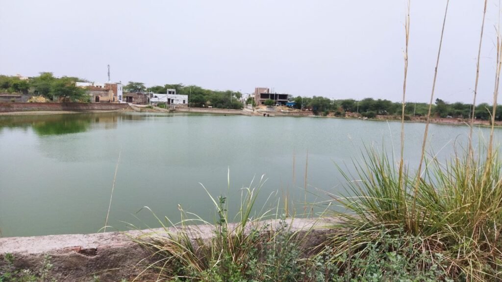 Reviving Ponds and Lakes: A Natural Bio-Enzymatic Approach