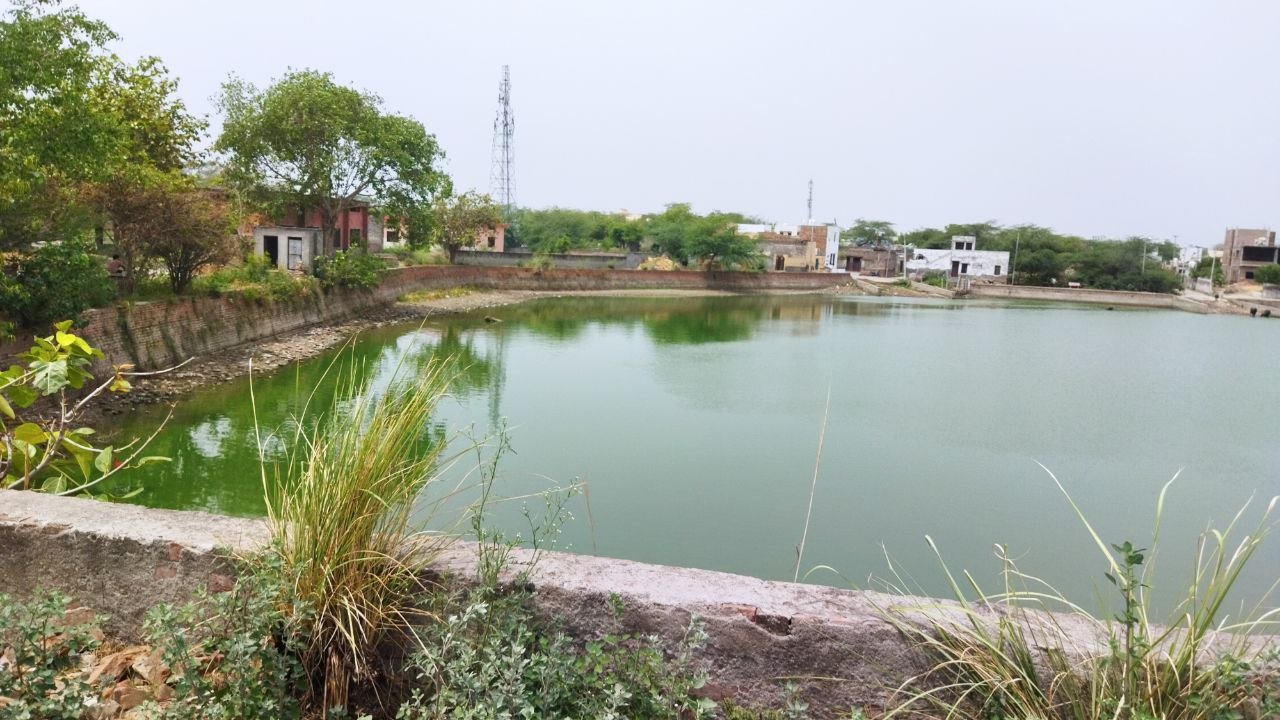 Reviving Ponds and Lakes: A Natural Bio-Enzymatic Approach