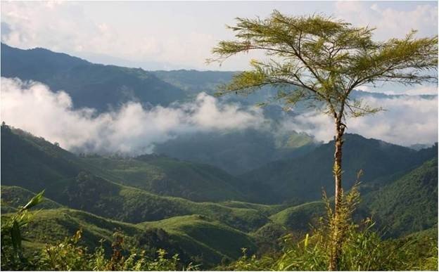 Naga Hill Ophiolite