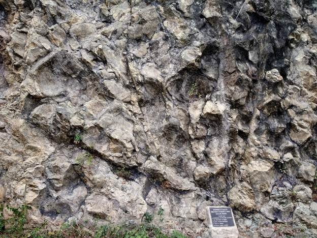 Naga Hill Ophiolite