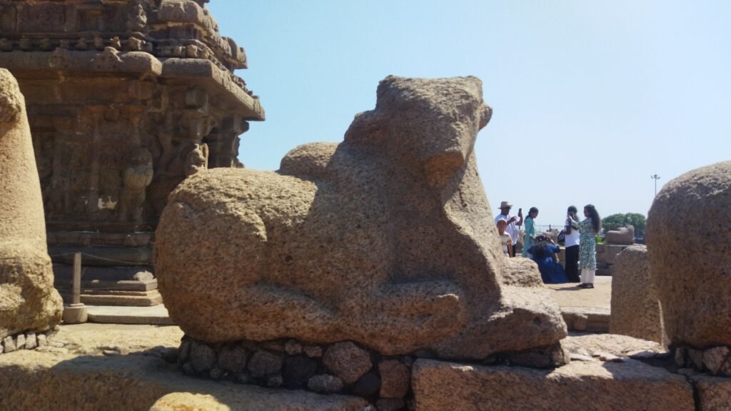 Granite Nandi sculpture at Shore Temple Mahabalipuram
