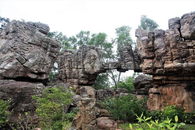 Natural Heritage of Tirumala Hills