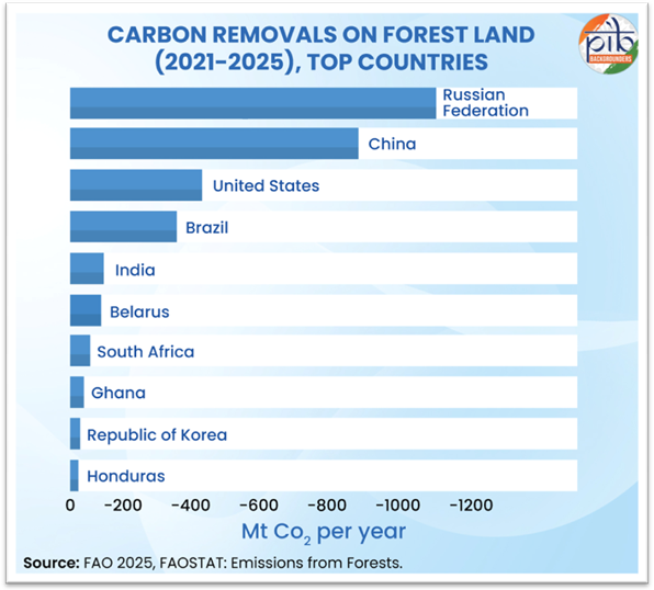 Top countries for forest carbon removals (2021–2025), with India ranking 5th globally.