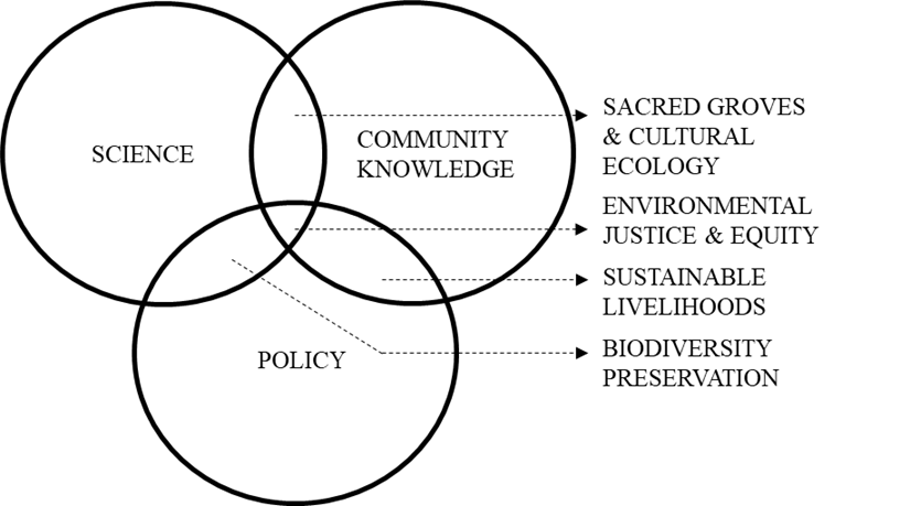 Design section divider used in Madhav Gadgil tribute article layout