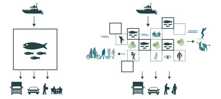 Diagram illustrating the operational flow of the new Sydney Fish Market, from fishing vessels and wholesale processing to retail, public interaction, and urban connectivity.