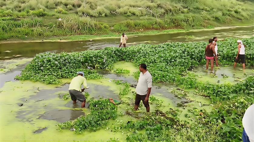 Workers removing water hyacinth and cleaning Tamsa River under Namami Gange mission in Uttar Pradesh