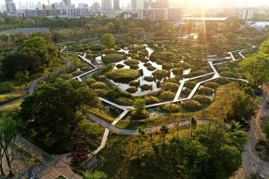 Benjakitti Forest Park in Bangkok featuring large-scale urban wetlands designed for flood management and ecological restoration.