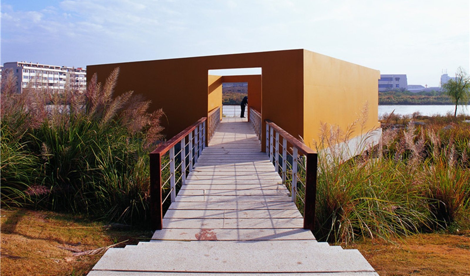 Pedestrian walkway through an ecological wetland park designed for stormwater management and urban biodiversity.