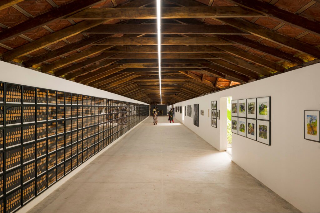 Exhibition gallery space at Port Museum with timber roof structure