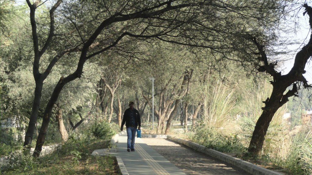 Pedestrian pathway with tactile paving and native vegetation along the Bundh Rejuvenation Trail in Gurugram.