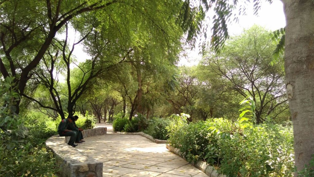 Public seating and shaded walking areas within the restored forest landscape of the Bundh Rejuvenation Trail.