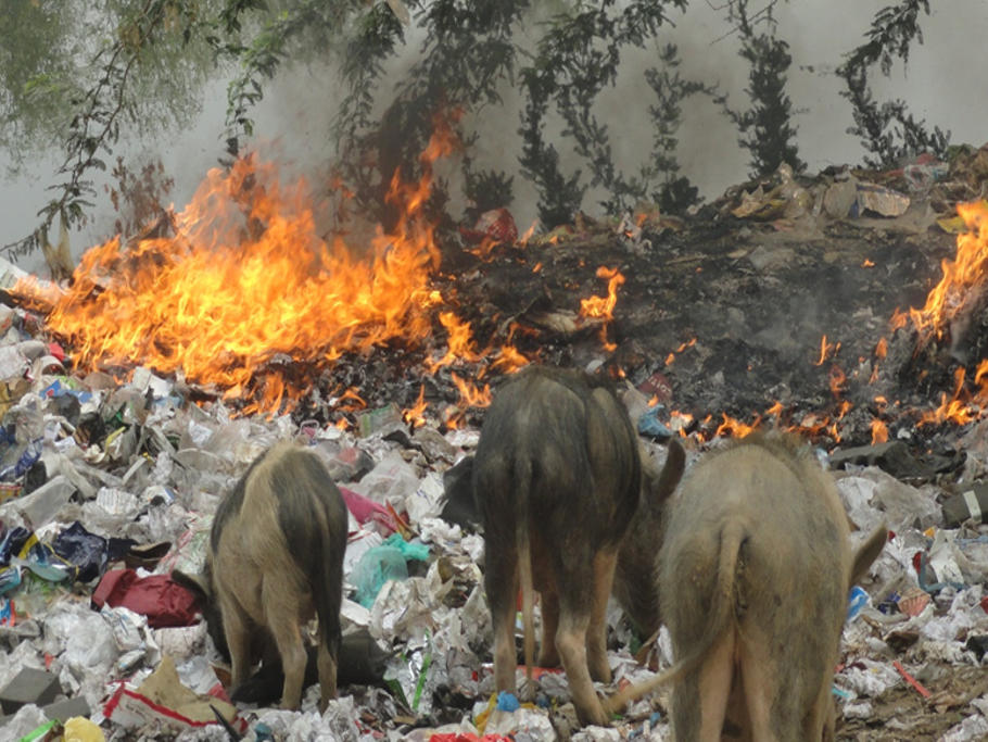 Garbage dumping and open burning at the Bundh site before the urban regeneration project in Gurugram.