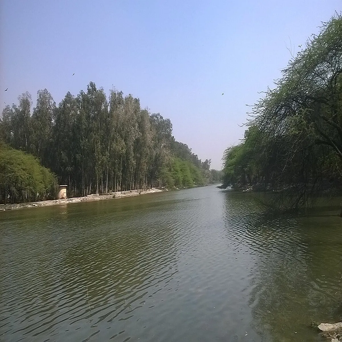 DDA Targets May 2027 Completion for Sanjay Lake Rejuvenation Under Phased Restoration Plan