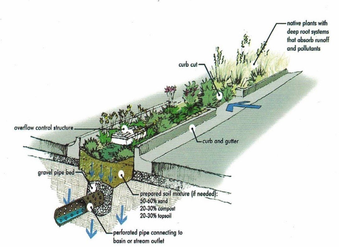 A Bioswale for Sustainable Urban Drainage