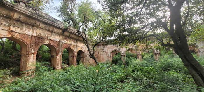 Arched masonry ruins of Jasrota Fort surrounded by trees and dense vegetation in Kathua.