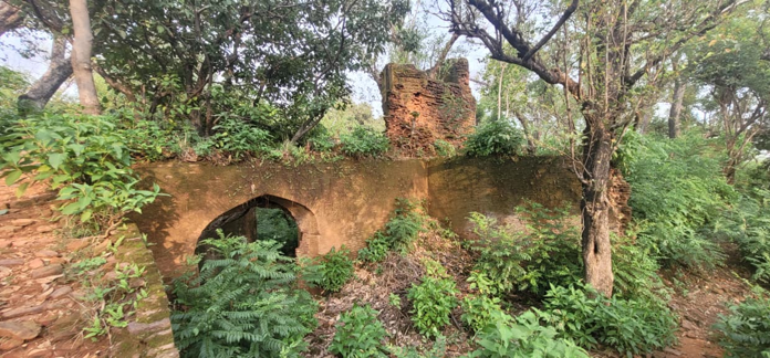 Partially collapsed brick arch and masonry wall at Jasrota Fort amid vegetation.