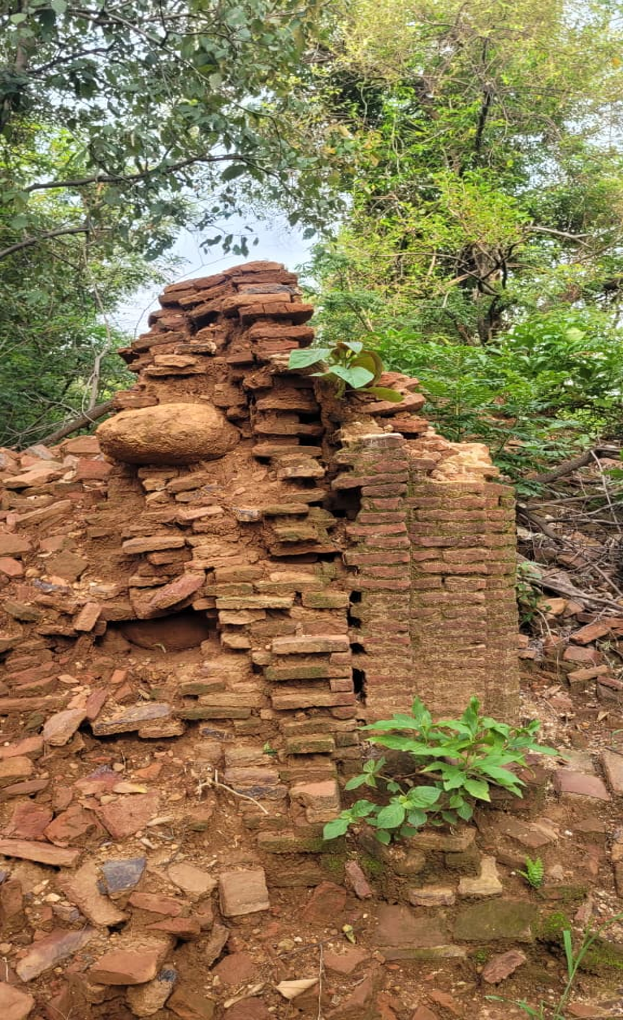 Close view of crumbling brick and stone masonry among vegetation at Jasrota Fort.