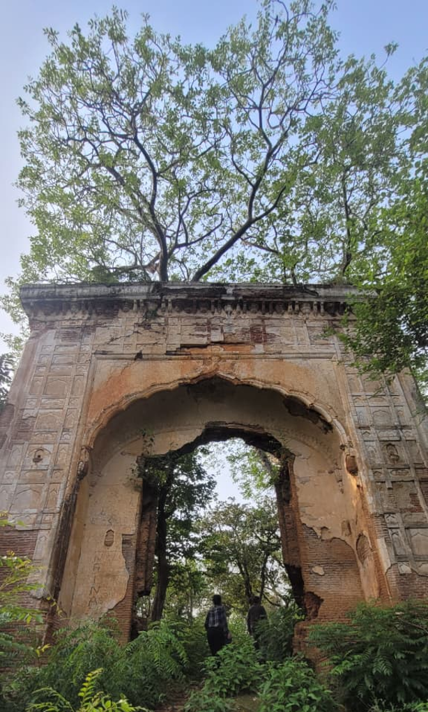 Historic arched gateway at Jasrota Fort showing decorative wall panels, exposed brickwork and weathered plaster.