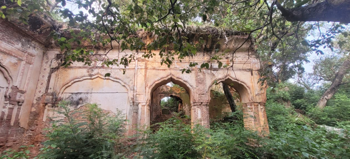 Ruined arched wall at Jasrota Fort framed by trees and overgrown vegetation.